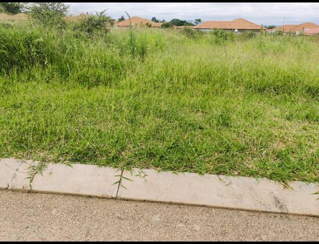LAND FOR SALE IN CASA ACACIA